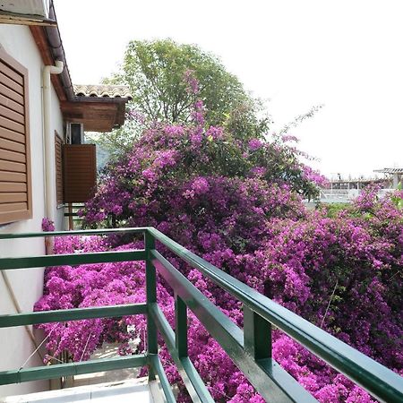 Villa Marko Dhërmi Zewnętrze zdjęcie